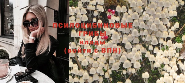 мдпв Волосово