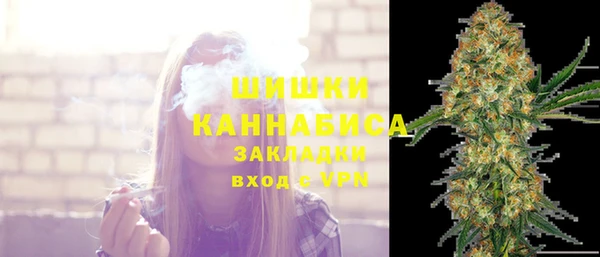 мдпв Волосово