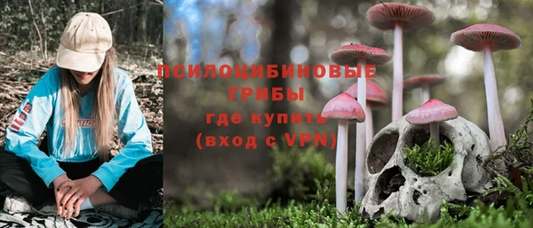 синтетический гашиш Вязьма